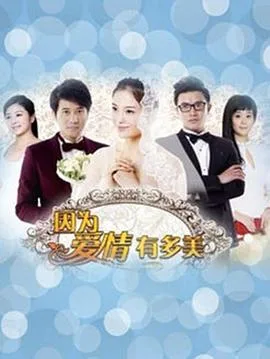 因为爱情有多美海报