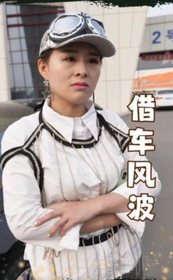 借车风波海报